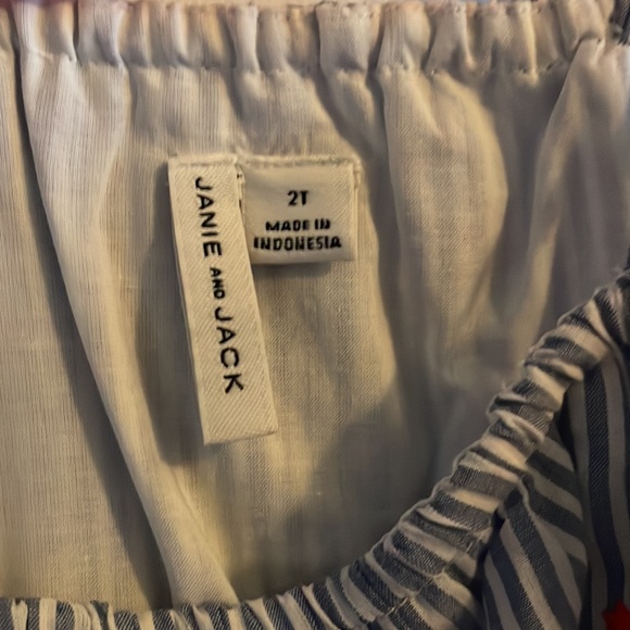 2t Janie and Jack dress with embroidered flowers and fully lined - Picture 3 of 4